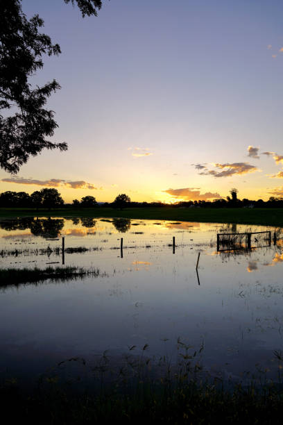 istock Taree, NSW, Australia 1424401409