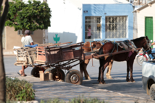 santana, bahia, brazil - september 13, 2022: animal-drawn cart for transporting goods in a public square in the city of Santana.