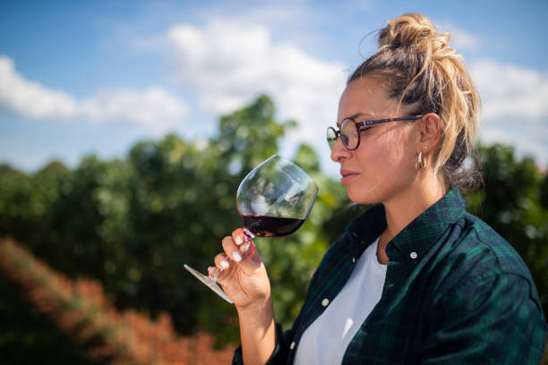 롤빵에 머리카락을 가진 한 여성이 포도원을 걷는 동안 와인을 마신다. - grape purple cabernet sauvignon grape fruit 뉴스 사진 이미지
