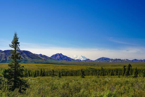 istock Snow-capped Denali Mountain in Alaska, USA 1424425782