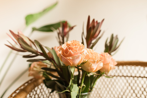 Soft Peach-Colored Country Roses Arranged with Rust-Colored Autumn Foliage in a Vase on a Boho Rattan Chair.