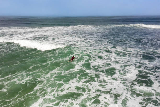 istock Surfer in the wavy sea 1424433301