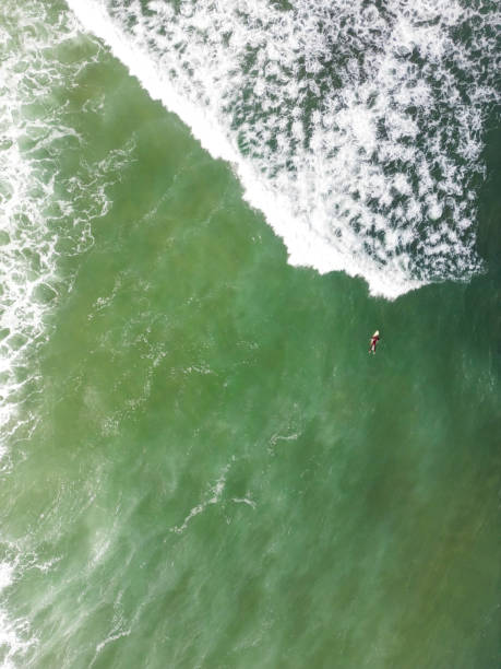 istock Surfer in the wavy sea 1424434075