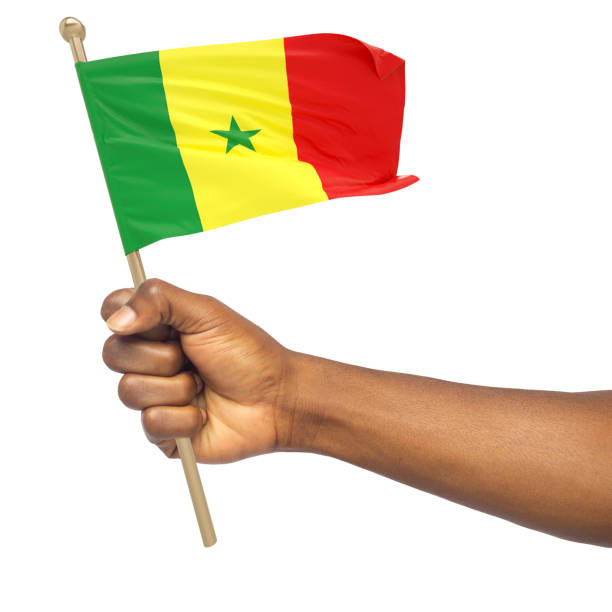 istock Hand holding Senegalese national flag isolated on white background 1424439703