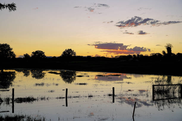 istock Taree, NSW, Australia 1424445346