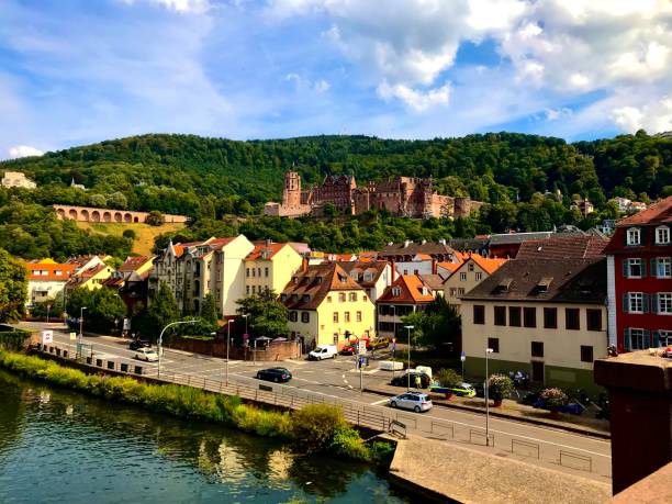 istock Heidelberg city and river 1424445900