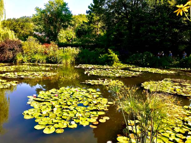 istock Monet's Garden Water Lilies Pond 1424446033