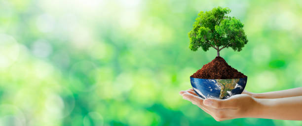 istock Hand holding tree with half globe. World Environment, Eco, and Earth Day Concept. 1424446107