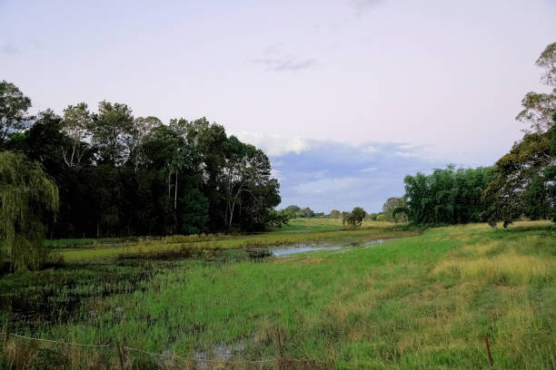 istock Taree, NSW, Australia 1424446111