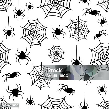istock SP043 Spider Web 1424450800