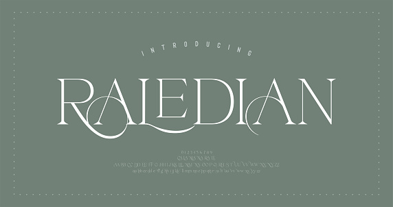 Classic modern serif alphabet letters font. Elegant Lettering vintage Retro Designs. Typography  decoration fonts for branding, wedding, logos. vector illustration