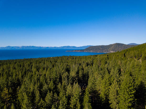 istock Lake Tahoe, California 1424461185