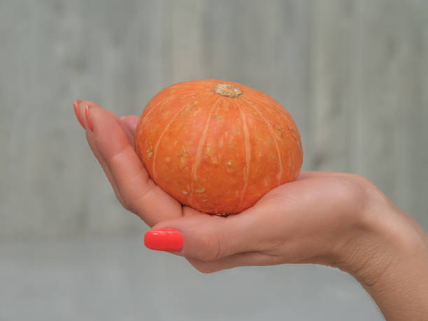 istock Girl's hand holds a small pumpkin. Selective focus, close-up. 1424478590