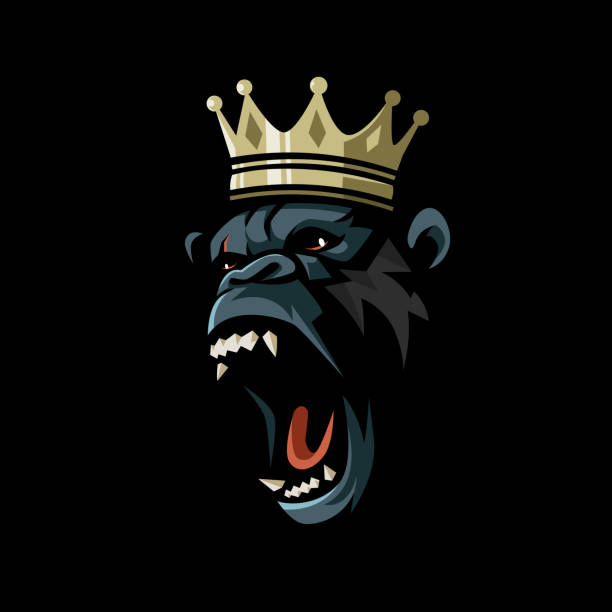 könig kong brüllt - silberrucken gorilla stock-grafiken, -clipart, -cartoons und -symbole
