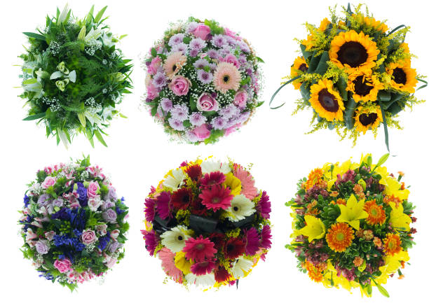 istock Many types of flowers 1424487466