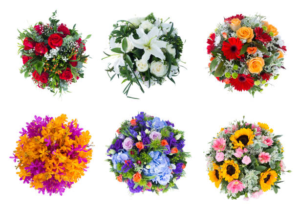 istock Many types of flowers 1424487469