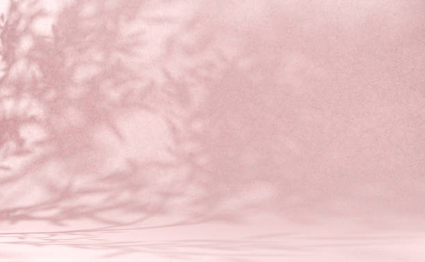 istock Premium abstract light pink wall summer background with leaves shadow 1424488014