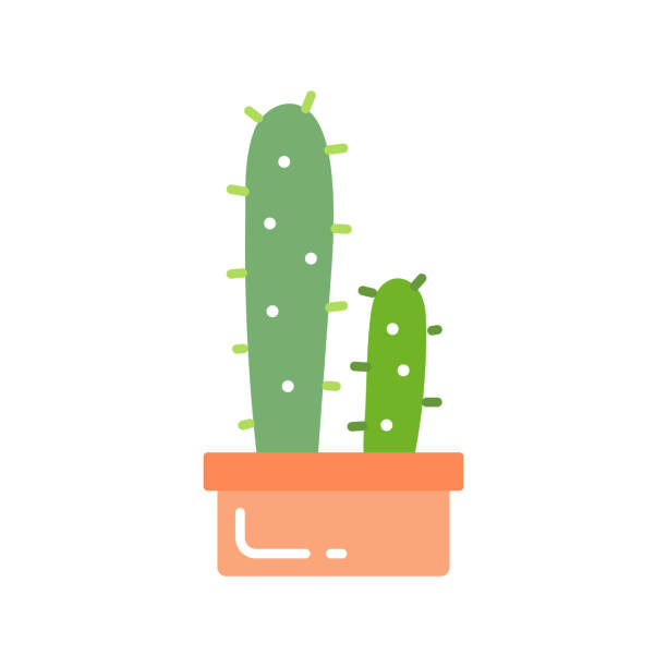 ilustrações de stock, clip art, desenhos animados e ícones de cute cactus in simple hand drawn style. cute cartoon potted cacus sticker. vector illustration. - cacus