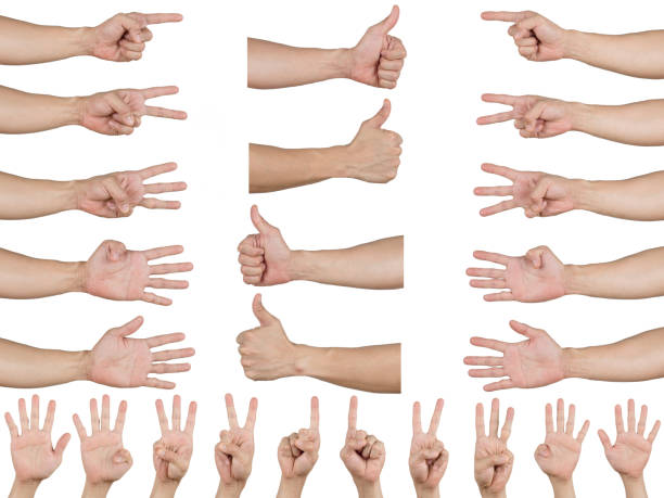 istock Group set man hand counting and thumb up right and left isolated background 1424503219