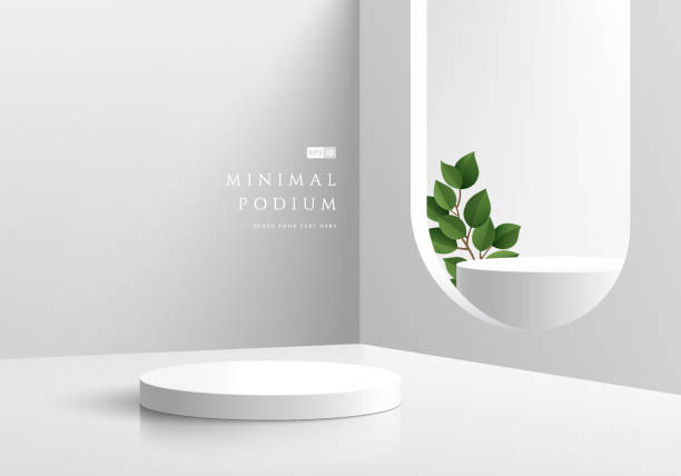 Abstract 3D background, Realistic white and gray cylinder pedestal podium in arch window and green leaf. Minimal wall scene for mockup product display. Vector geometric forms. Round stage showcase. Abstract 3D background, Realistic white and gray cylinder pedestal podium in arch window and green leaf. Minimal wall scene for mockup product display. Vector geometric forms. Round stage showcase. window backgrounds stock illustrations