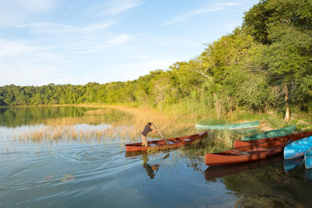 Senior man in kayak on the river Papaturro, he paddles close to mangrove trees. Nicaragua