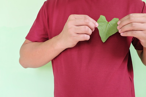 Healthy heart and love for nature and volunteer for environment concept. Young Asian man hands holding a green heart shape leaf on upper left chest with copy space.