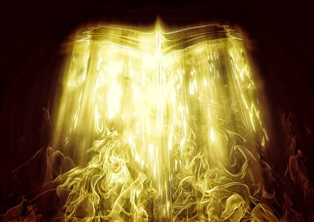 3d illustration of a phoenix flying in the dark