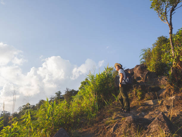 istock Trekker enjoying on mountain trail in tropical forest 1424529164