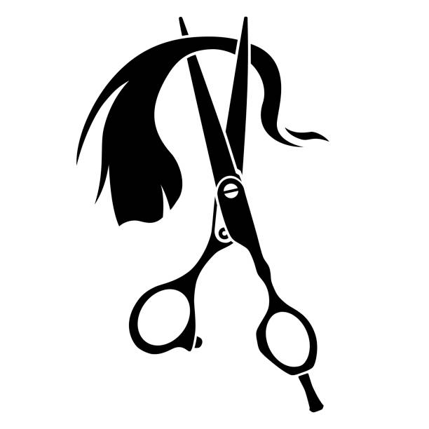 Hairdresser scissors cutting strand of hair on white background Hairdresser scissors cutting strand of hair on white background hair strands stock illustrations