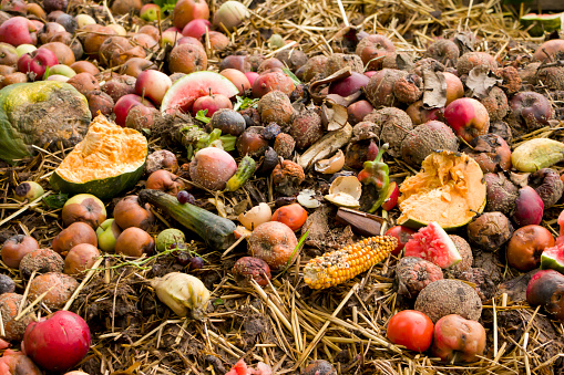 Composting. Composting in the backyard. Compost heap. Rational use of natural resources.