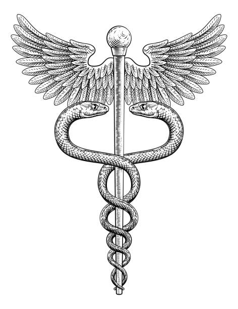 ilustraciones, imágenes clip art, dibujos animados e iconos de stock de caduceus vintage doctor medical snakes símbolo - wing artificial wing coat of arms vector