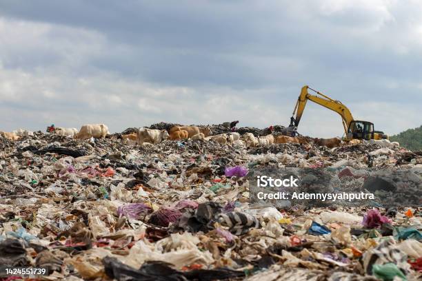 Landfill Basin Stock Photo - Download Image Now - Garbage, Pollution, Food