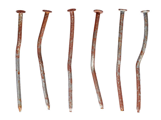 istock Rusty nails used and warped, isolated on white 1424558307