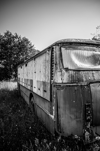 Black and white photo of an old bus in the forest.