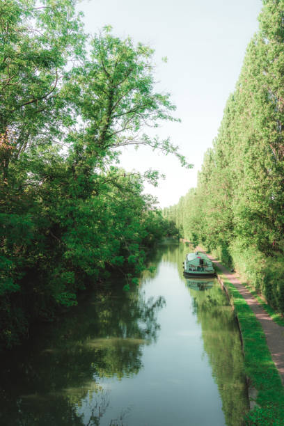istock A beautiful scenic view of green trees alongside a river under a blue sky on a warm 1424562148