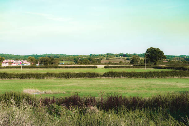 grandi cieli d'estate blu fattorie verdi - crop buckinghamshire hill pasture foto e immagini stock