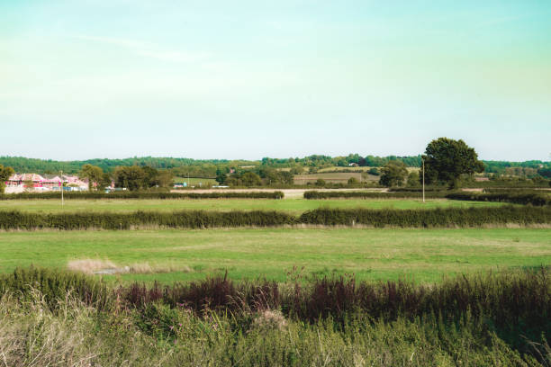 большой голубой лето небо, зеленая хозяйств - crop buckinghamshire hill pasture стоковые фото и изображения