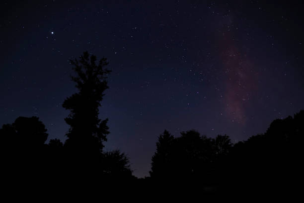 Trees silhouetted by stars and the Milky Way near Raeford North Carolina