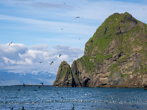 Rockly islets and sea stacks near the coast of Heimaey island with mainland Iceland in the background, Vestmannaeyjar (Westman) archipelago, Iceland.