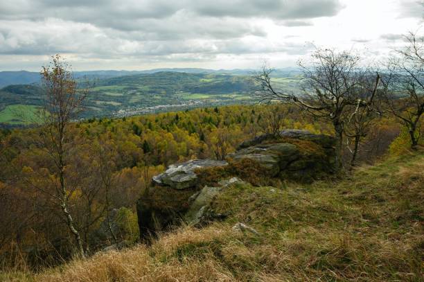 istock Autumn landscape - all beautifully colored 1424572645