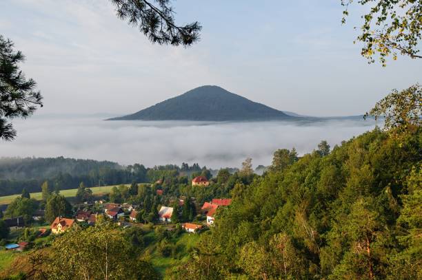 Foggy autumn landscape