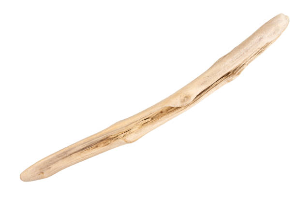 istock Piece of driftwood isolated on white 1424573119