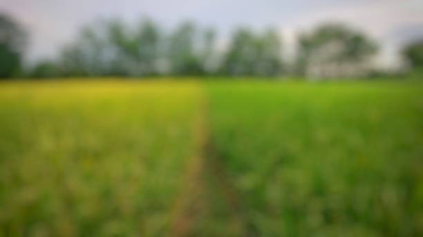 istock Abstract with blurres background stock picture 1424576397