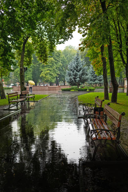 istock City park on a rainy day with empty benches 1424591186