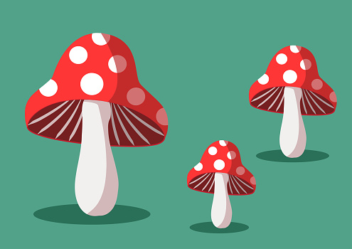 Mushroom icon set. Amanita Muscaria (fly agaric) sign collection. Magic mushroom symbol. Vector illustration isolated on green background.