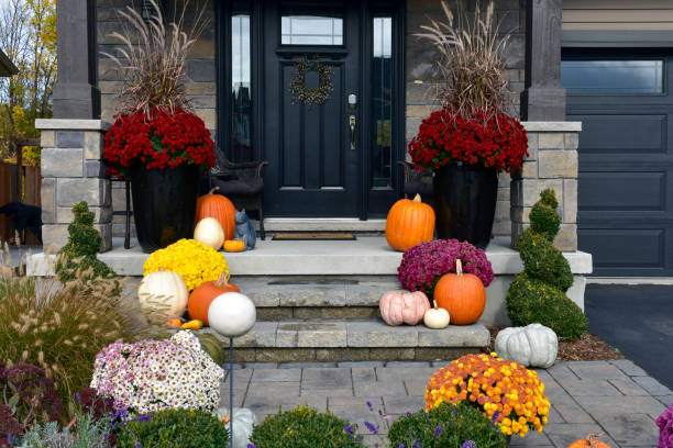 décor d’aménagement paysager résidentiel d’automne. des citrouilles, des gourdes et une maman décorent l’entrée de la maison. - loggia photos et images de collection