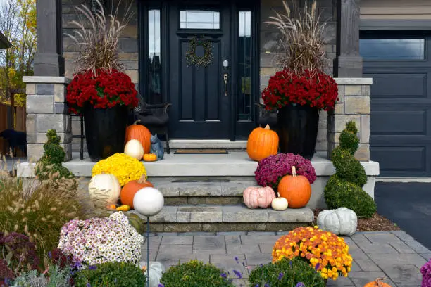 Photo of Residential autumn landscaping decor. Pumpkins, gourds and mum decorate the home entrance.