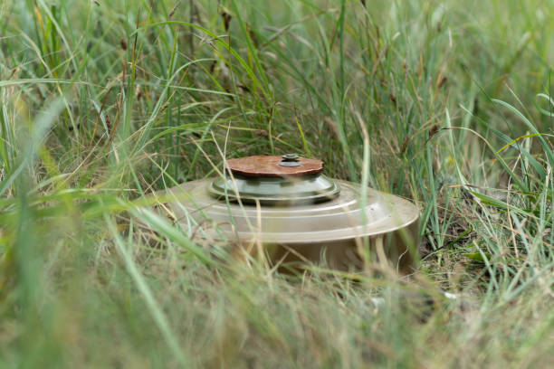 Anti-tank mine hidden in the grass in the minefield, close-up. Anti-tank mine hidden in the grass in the minefield, close-up. land mine stock pictures, royalty-free photos & images