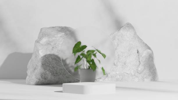 istock luxury white podium and stone, natural empty pedestal platform for product showcase, 3D Rendering 1424605970