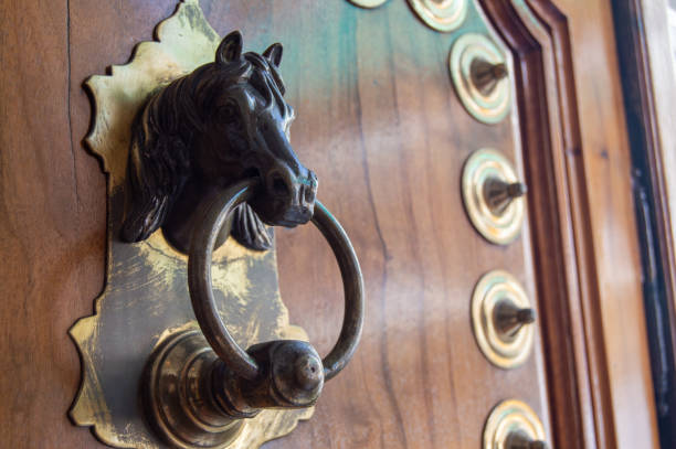 Door knocker, door